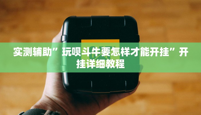 实测辅助”玩呗斗牛要怎样才能开挂”开挂详细教程